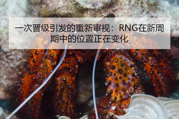 一次晋级引发的重新审视：RNG在新周期中的位置正在变化